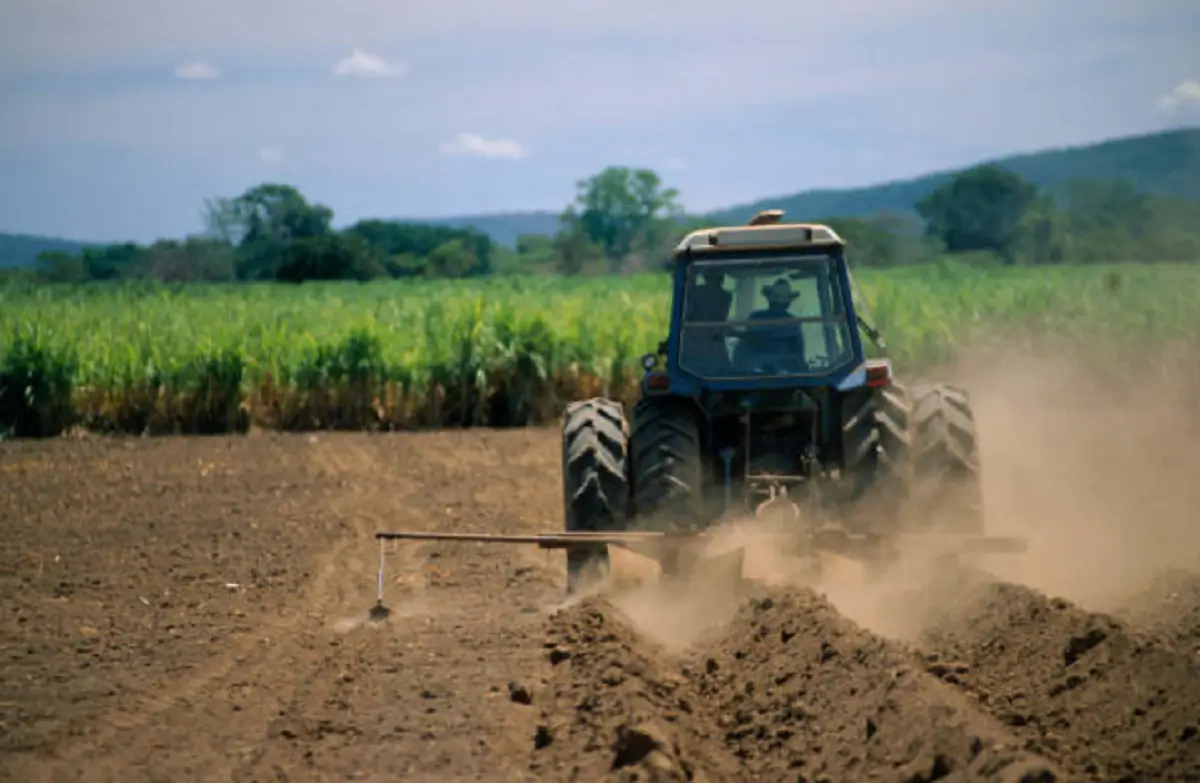 Crop nutrition in Argentina with nutrient deficiencies according to fertilization balances.