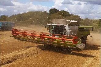 Crop nutrition in Argentina with nutrient deficiencies according to fertilization balances